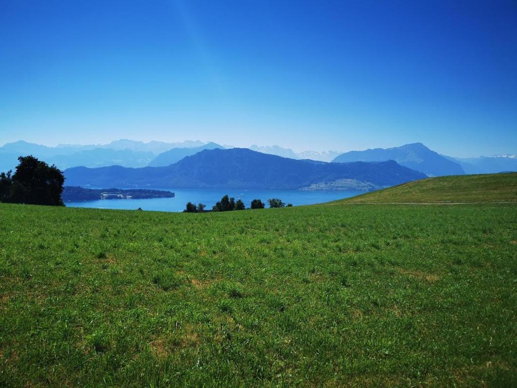Marmottin Apartment Lucerne Luaran gambar
