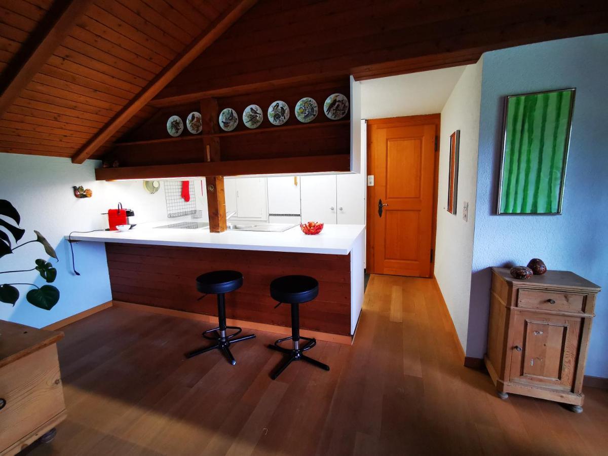 Marmottin Apartment Lucerne Luaran gambar